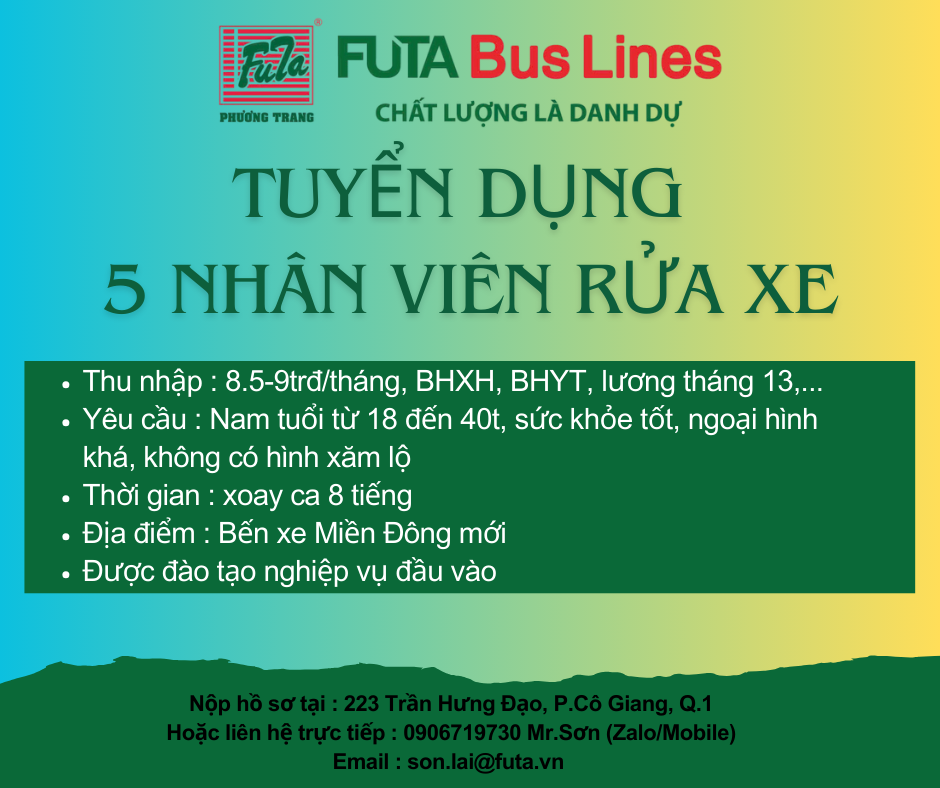 lĩnh vực hoạt động
